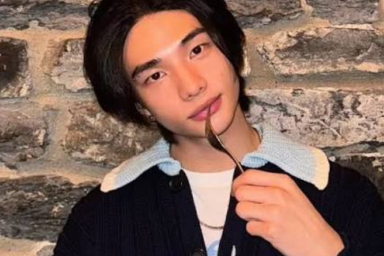 Devido a problemas de saúde, Hyunjin, do Stray Kids, certamente limitará suas atividades durante a turnê no Japão