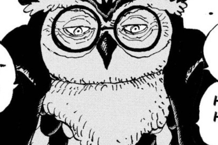 ONE PIECE Capítulo 1192 PT BR, Não é um pássaro protetor silencioso!