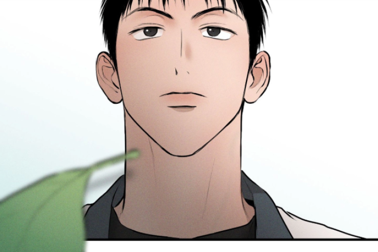 Links Recomendados Nice to See You Capitulo 22 PT BR, Outro Lado da Rua Esteja Desocupado