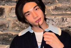 Devido a problemas de saúde, Hyunjin, do Stray Kids, certamente limitará suas atividades durante a turnê no Japão