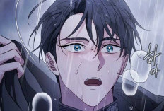 Resenha do Final Manhwa Marriage of Convenience Full Capítulo PT BR, Inclui a Última Sinopse!
